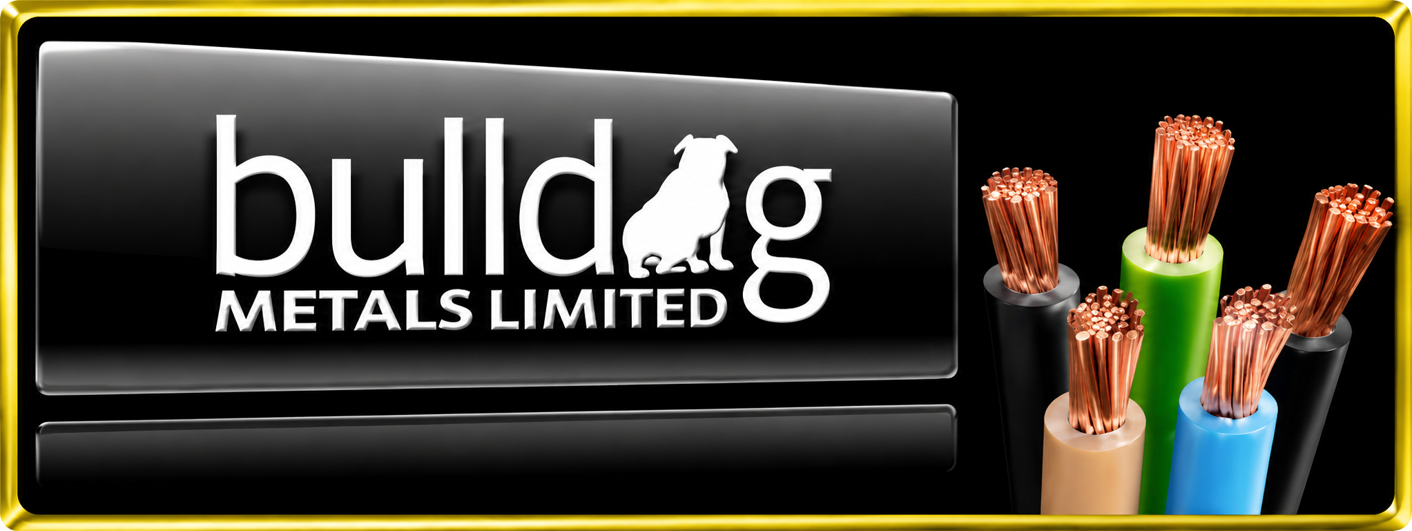 Bulldog Metals Ltd banner
