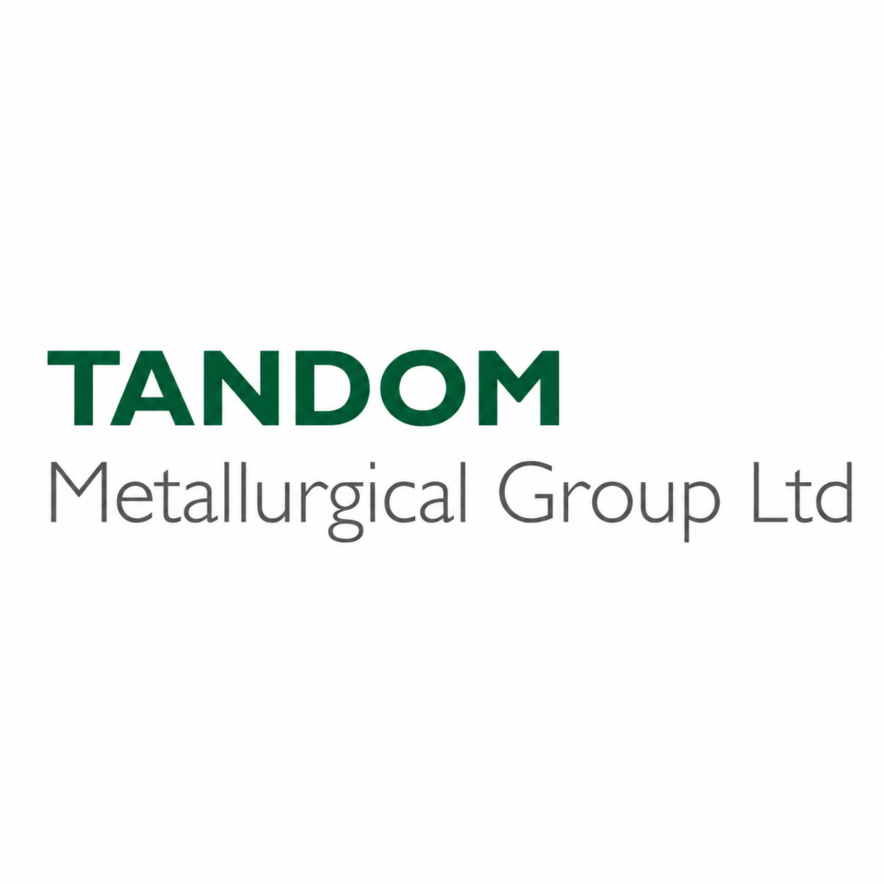 Tandom Metallurgical Group logo