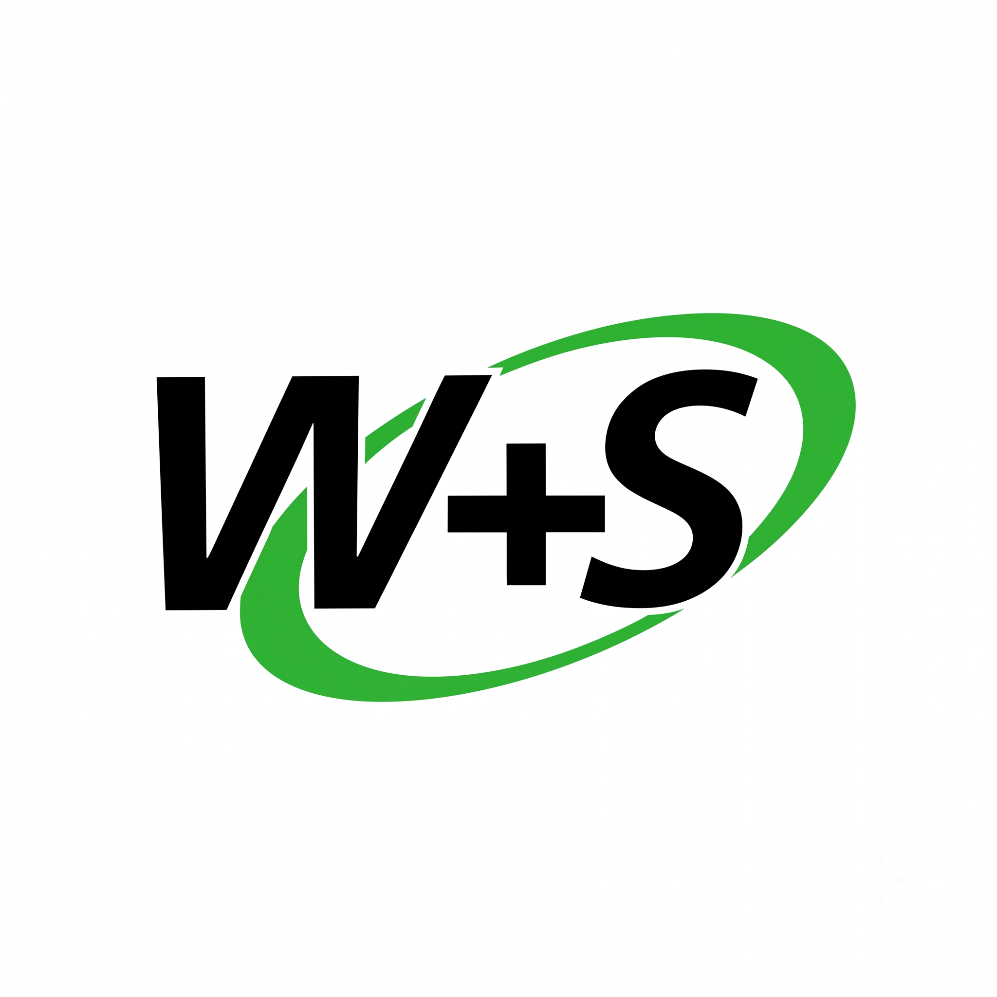 W&S Waste Management - Candys Lane logo