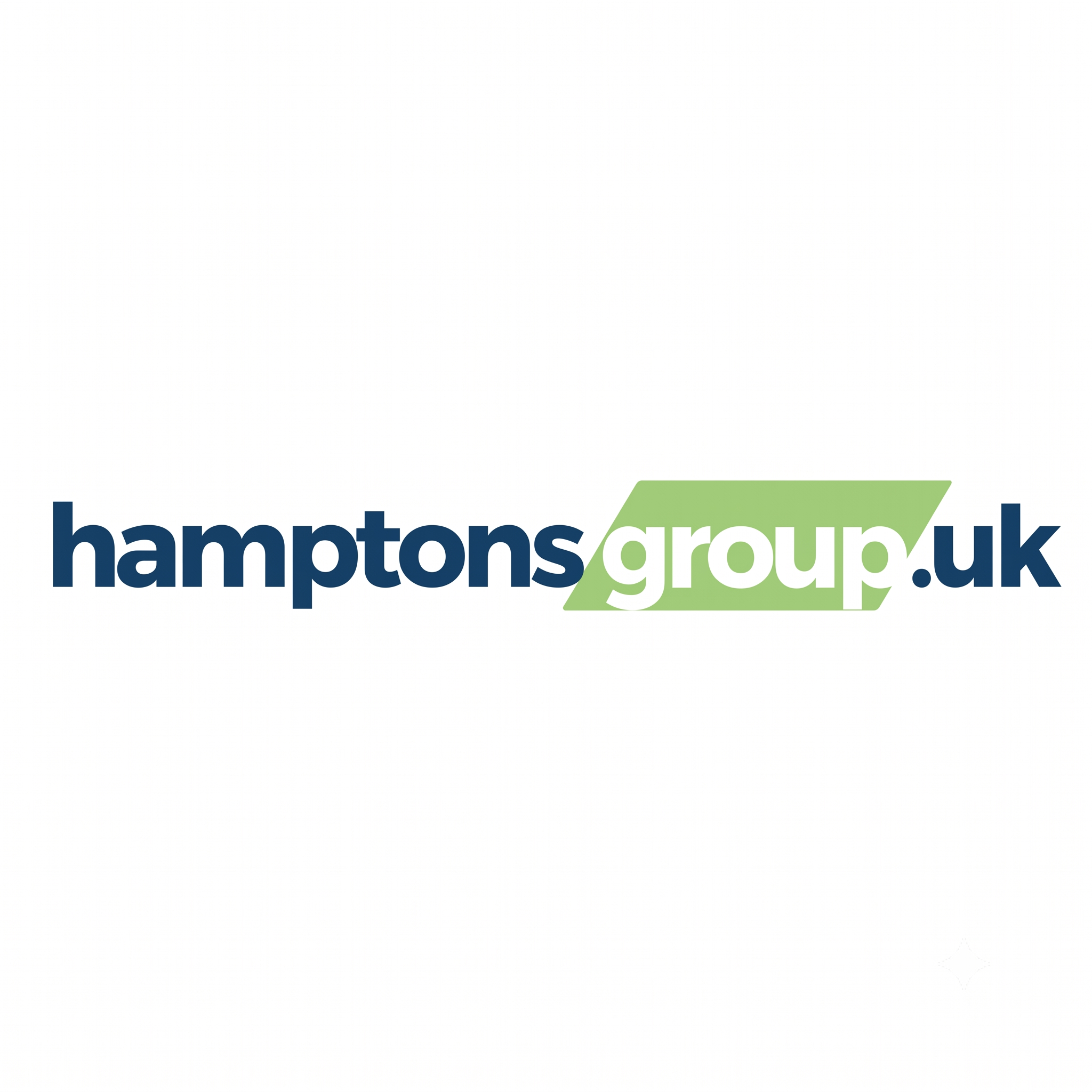 Hamptons Group logo